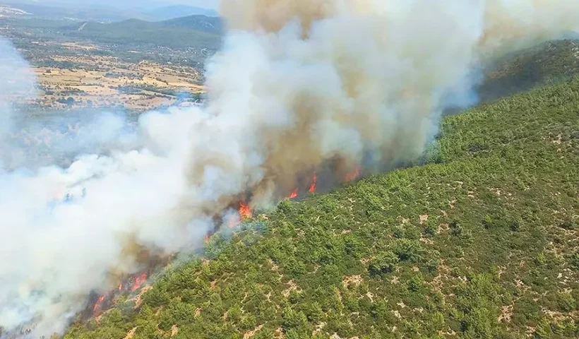 Turquía, incendio en Bodrum