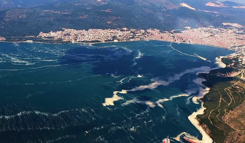 Turkey, sea snot in the Marmara (Gemlik)