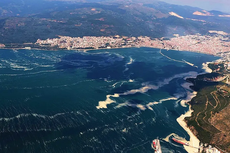Turkey, sea snot in the Marmara (Gemlik)