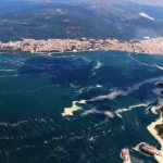 Turquía, mucílago en el Mármara (Gemlik)