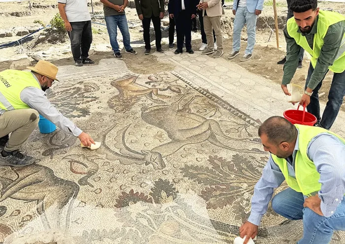 Turkey, Roman mosaic in Elazığ