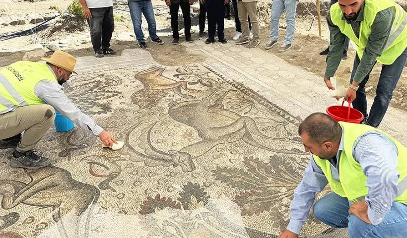 Turkey, Roman mosaic in Elazığ