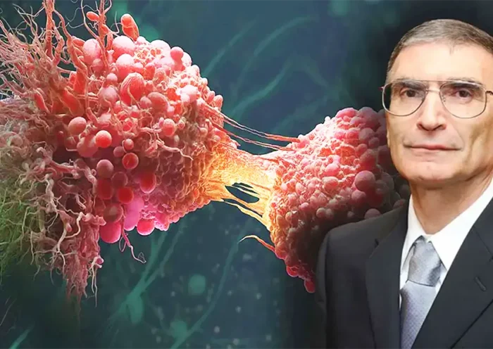 Aziz Sancar, cancer treatment