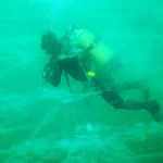 marine mucilage, sea snot