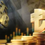 recorte de tipos del Banco Central Turco