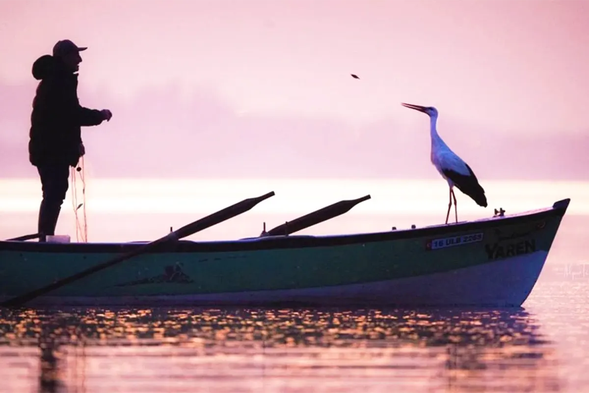 the fisherman and the stork, Yılmaz and Yaren