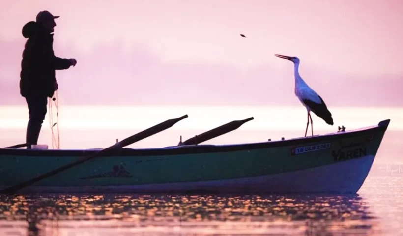 el pescador y la cigüeña, Yılmaz y Yaren