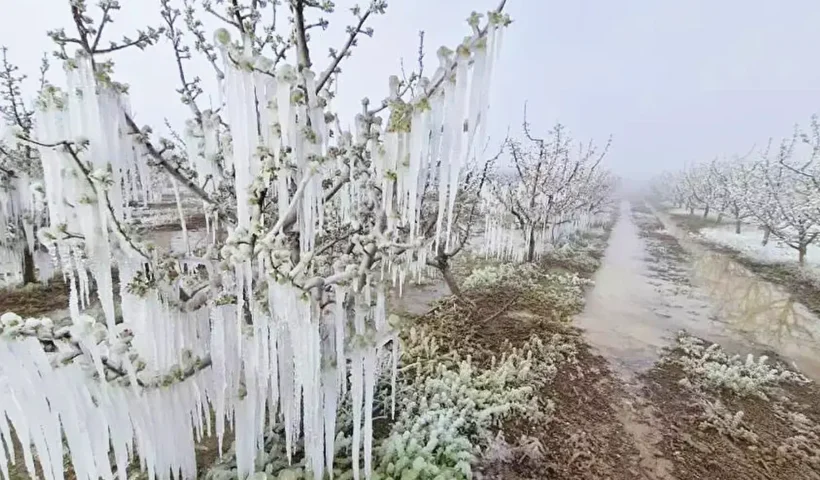frost in Turkey