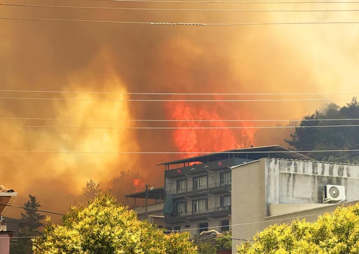 forest fire reaches houses in Bursa, Turkey