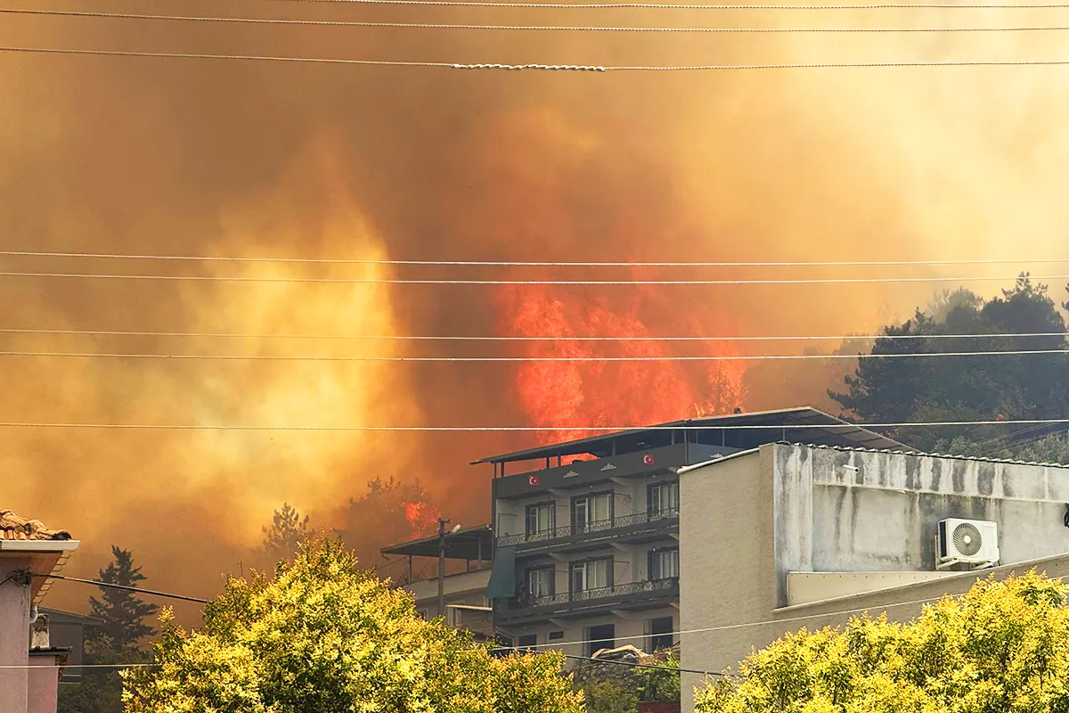 forest fire reaches houses in Bursa, Turkey