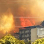 incendio forestal alcanza varias casas en Bursa, Turquía