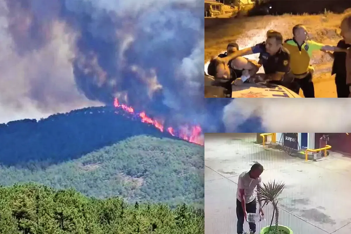arsonist detained in Turkey
