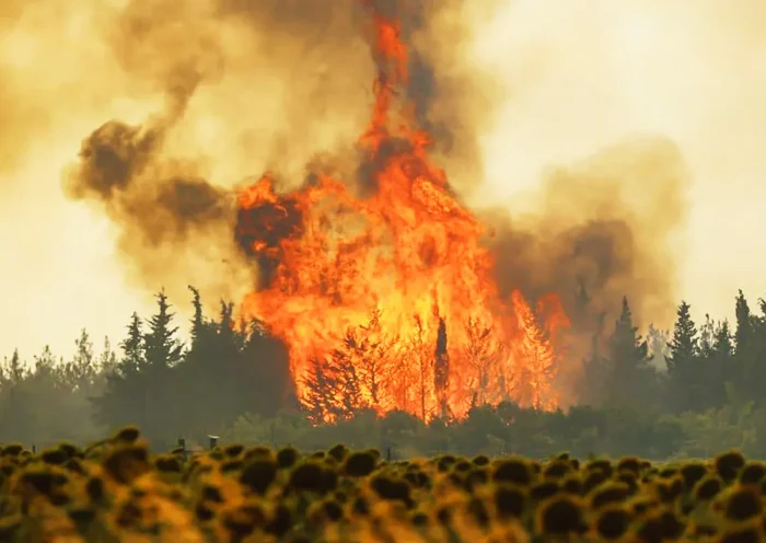 forest fire in Turkey