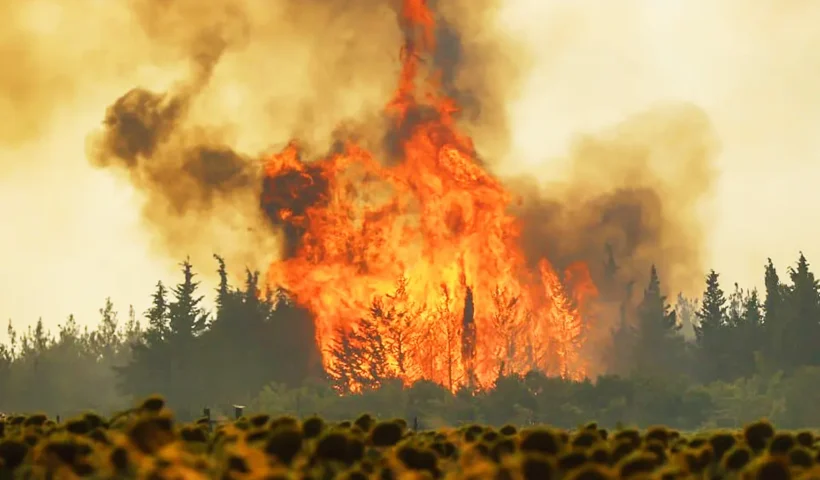 forest fire in Turkey