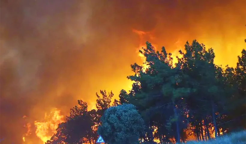 forest fires in Turkey