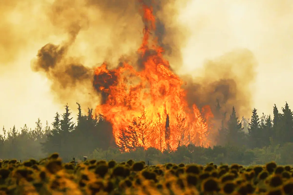 incendio forestal en Turquía