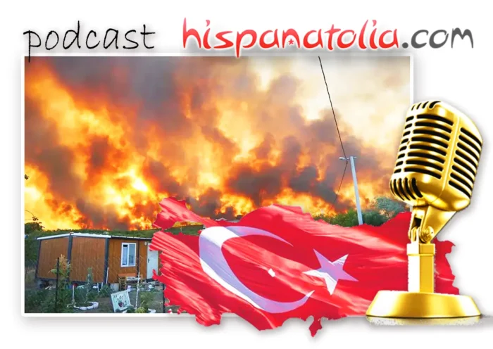 Incendio hotel, accidente Ankara, incendios en Turquía, Patrimonio de la Humanidad, gato perdido