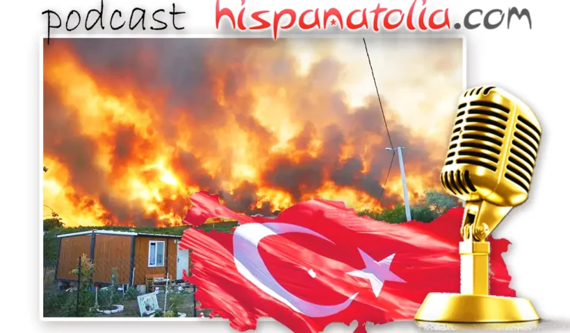 Incendio hotel, accidente Ankara, incendios en Turquía, Patrimonio de la Humanidad, gato perdido