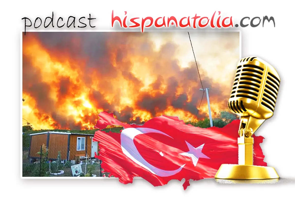 Incendio hotel, accidente Ankara, incendios en Turquía, Patrimonio de la Humanidad, gato perdido