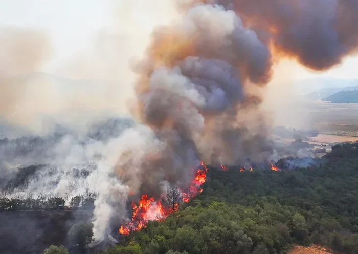 forest fires in Gallipoli, Turkey