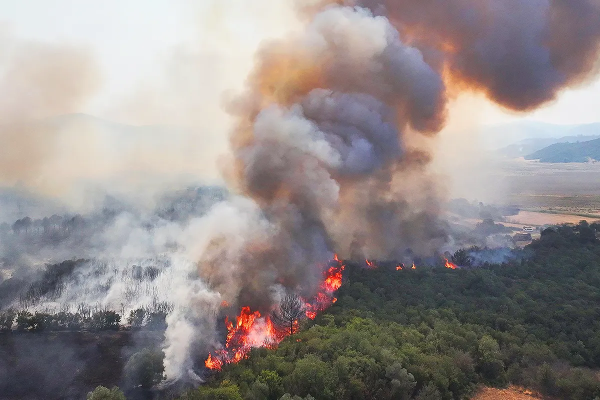 forest fires in Gallipoli, Turkey