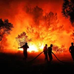 incendios forestales