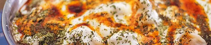 Turkish recipes books banner