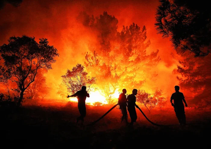 forest fires