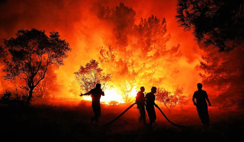 forest fires