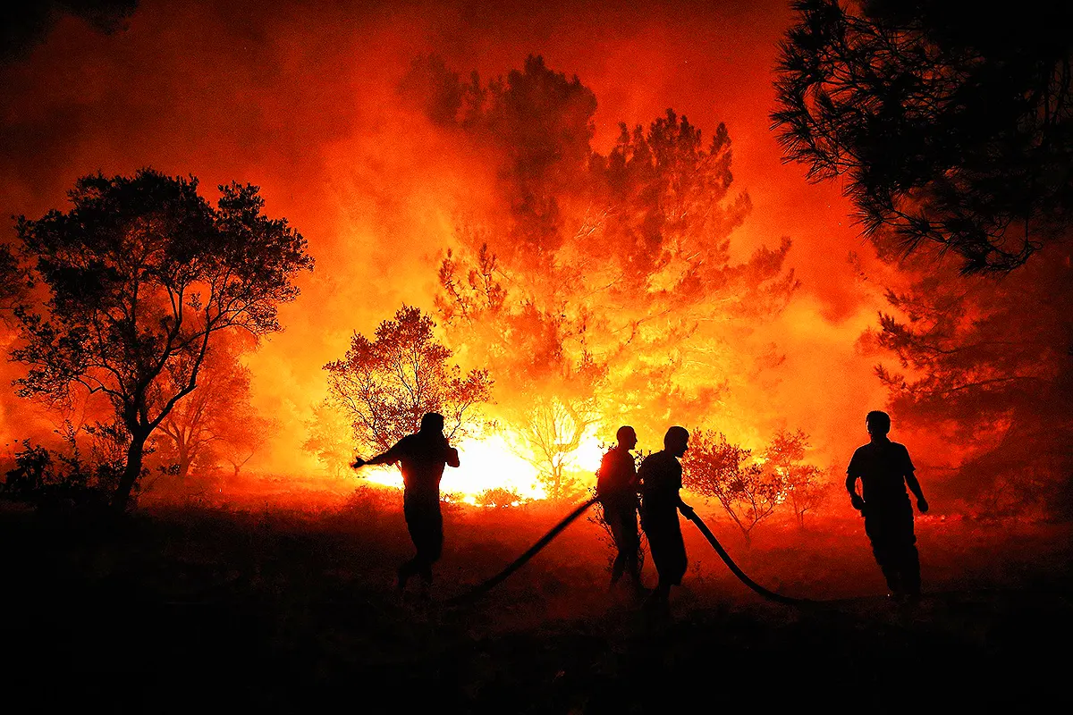forest fires