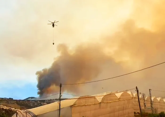 wildfire in Alanya (Antalya)