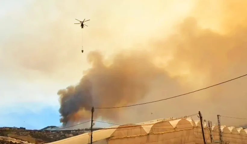 wildfire in Alanya (Antalya)