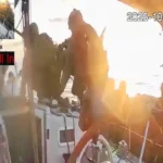 abordaje israelí de la flotilla a Gaza