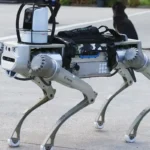 perro robot turco