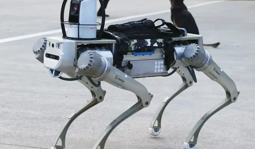 Turkish robot dog