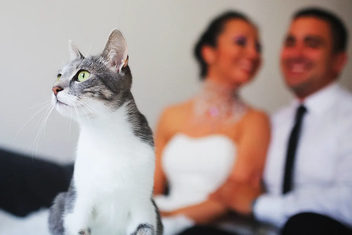 cat with a man and a woman