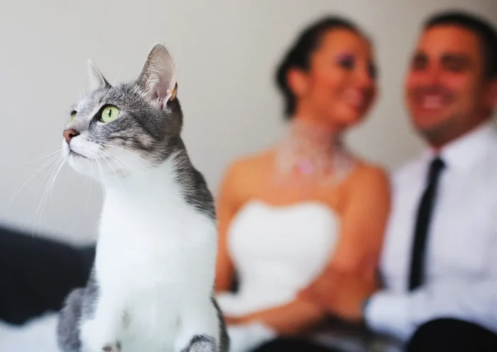 gato con hombre y mujer