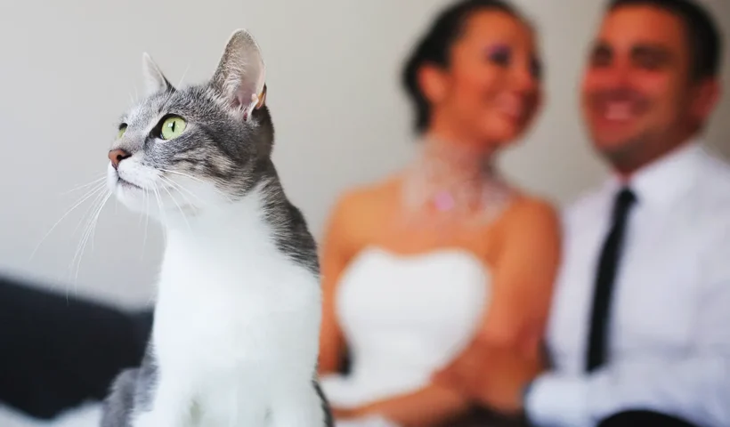 gato con hombre y mujer