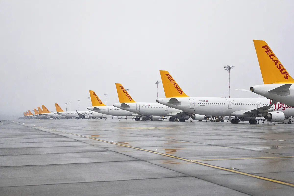 dozens of Pegasus airline planes lined up on an airport runway in grey, rainy weather