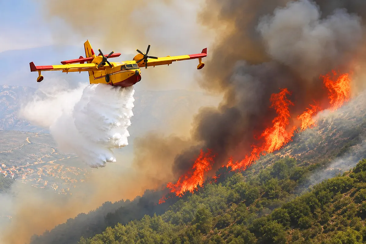 un avión de extinción descarga agua sobre un incendio forestal ardiendo en un bosque