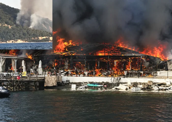 a restaurant next to a beach, completely ablaze; in one corner, an image of a burning forest