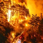 un camión de bomberos en medio de un bosque ardiendo durante la noche