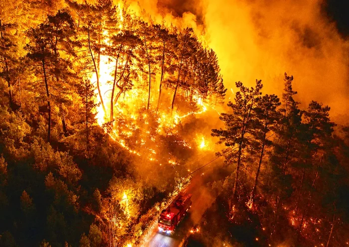un camión de bomberos en medio de un bosque ardiendo durante la noche