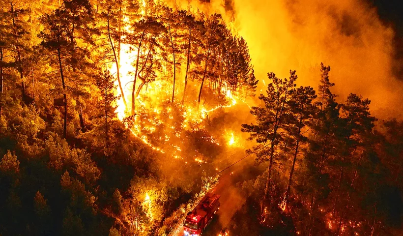 un camión de bomberos en medio de un bosque ardiendo durante la noche