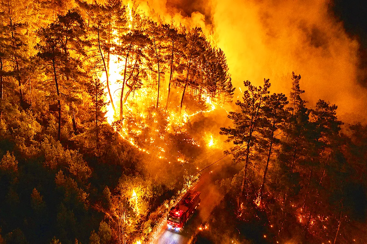 un camión de bomberos en medio de un bosque ardiendo durante la noche