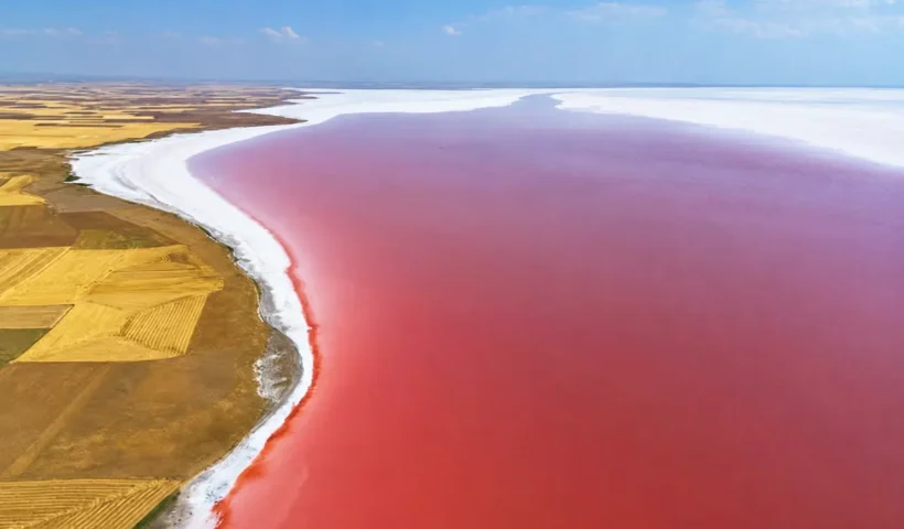 An aerial view of Lake Tuz in Turkey, completely tinged with pink-red, contrasting with the white shoreline and the yellowish fields surrounding it
