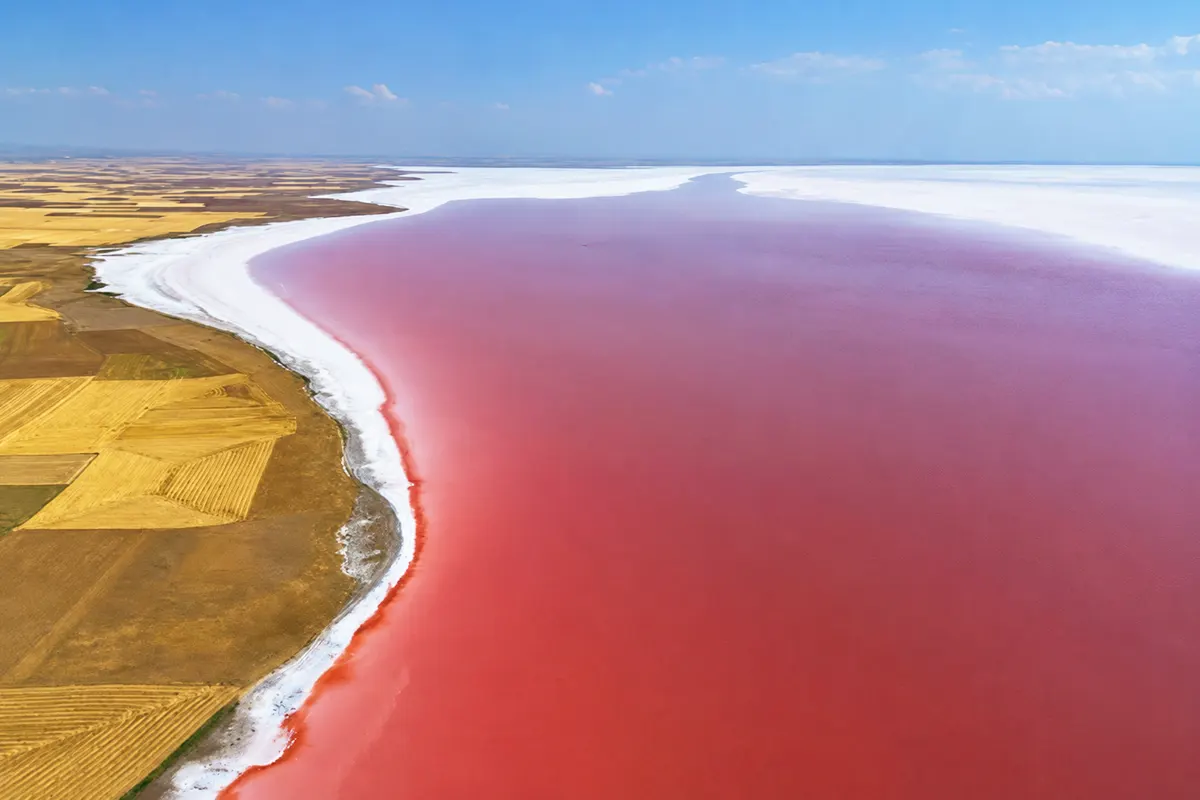 An aerial view of Lake Tuz in Turkey, completely tinged with pink-red, contrasting with the white shoreline and the yellowish fields surrounding it
