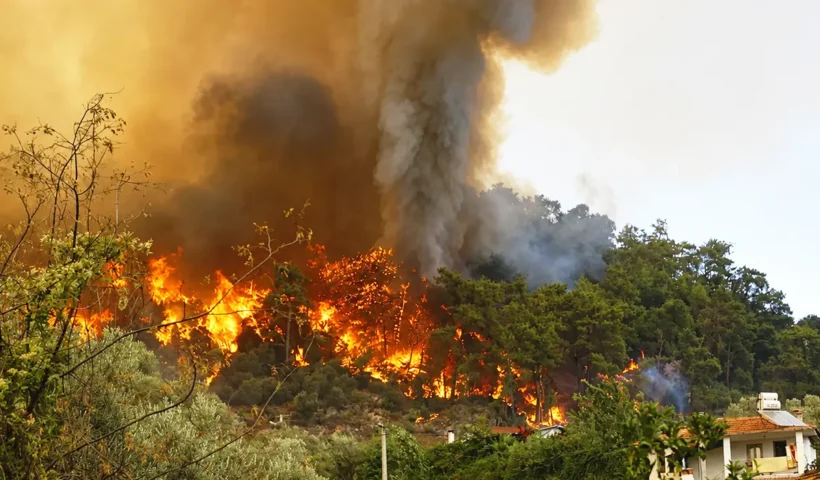 Huge flames are burning an area of woodland and are approaching a house