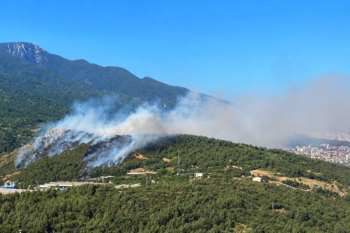 a wooded area shrouded in thick smoke near Mount Uludağ in Bursa