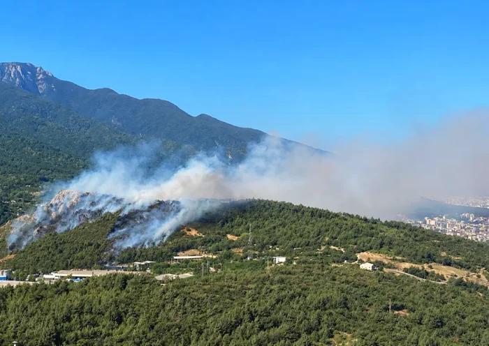 una zona boscosa envuelta en una gran cantidad de humo junto al Monte Uludağ en Bursa